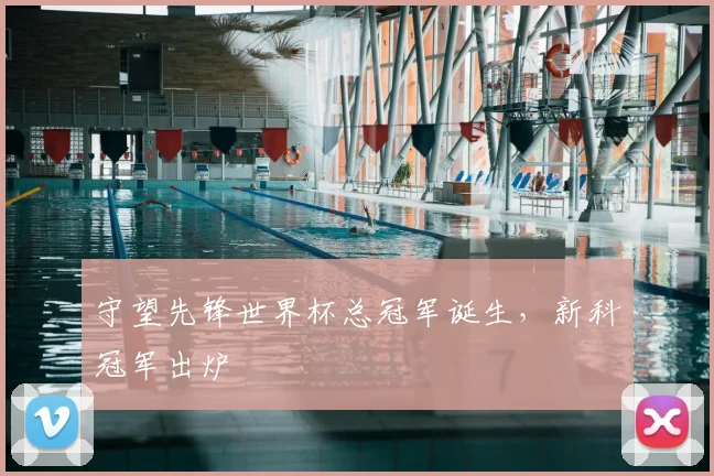 守望先锋世界杯总冠军诞生,新科冠军出炉