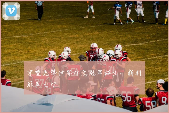守望先锋世界杯总冠军诞生,新科冠军出炉
